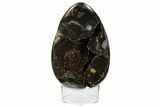 Septarian Dragon Egg Geode - Black Crystals #172817-2